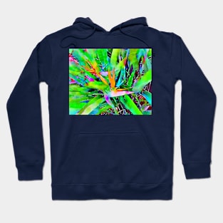 Bird of Paradise Hoodie